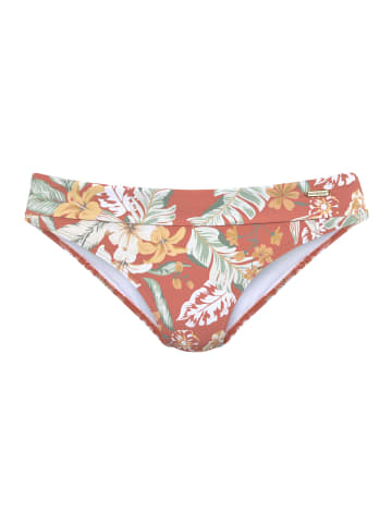 Sunseeker Bikini-Hose in rostrot bedruckt