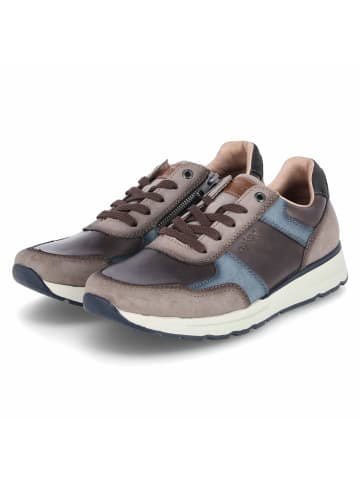 Low Sneaker in braun