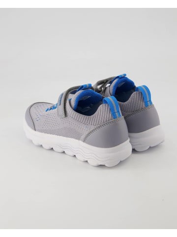Geox Klettschuhe in Grau