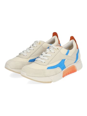 Paul Green Sneaker in Beige/Blau