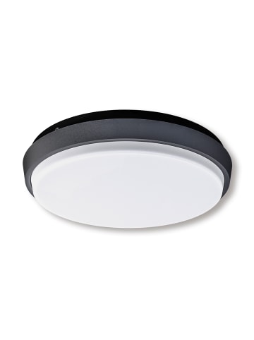 näve LED Außenwandleuchte IP54 "Mio" Ø 17,5 cm in anthrazit