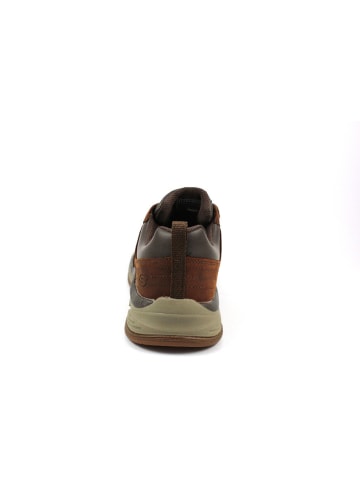 Skechers Schnürschuh in braun