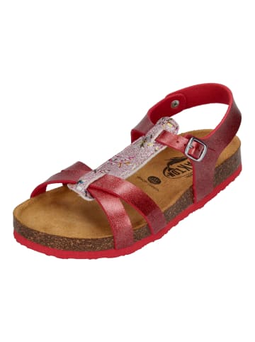 Plakton Sandalen CROSS 135384 in rot