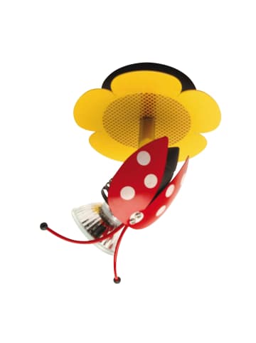 näve Spot "MARIENKÄFER" in bunt - (L)12 cm x (B)13 cm x (H)12 cm