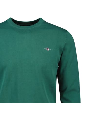 Gant Strickpullover in Grün (Woody)