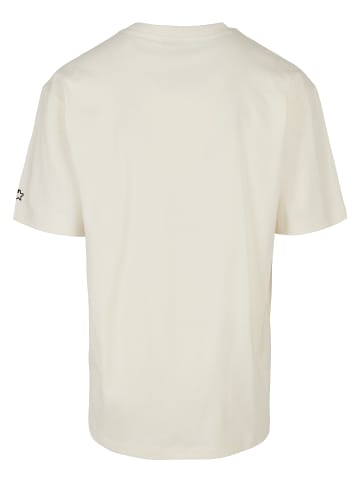 STARTER STARTER Herren Starter Essential Oversize Tee in palewhite