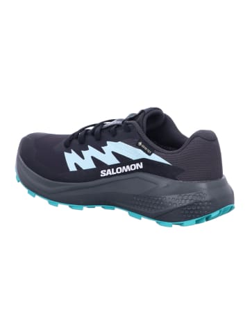 SALOMON Wanderschuhe Schuhe ALPHAGLIDE GTX W Phantm/Ubnc in Grau