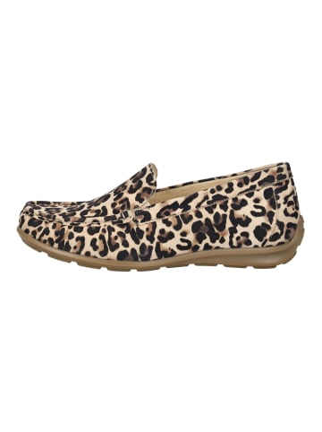 Gabor Slipper in Leopard