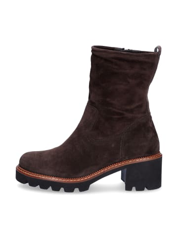 Paul Green Stiefelette in Dunkelbraun