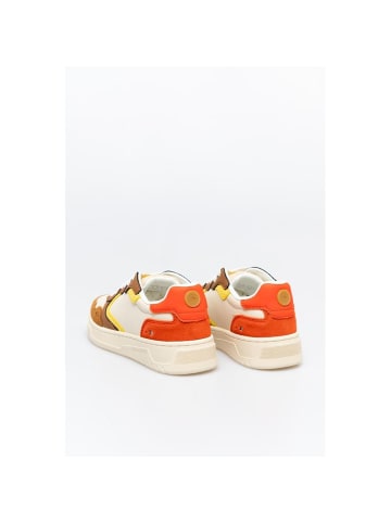 Scotch & Soda Mehrfarbig Rindsleder Low Top Sneaker