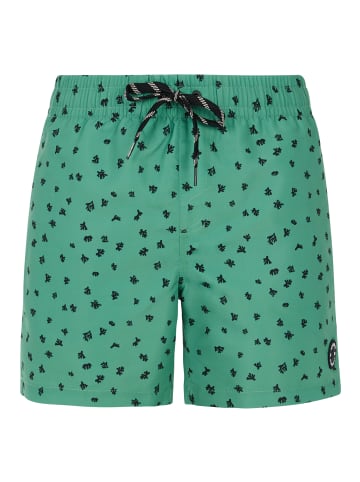 Protest " PRTJuan in Cactus Green