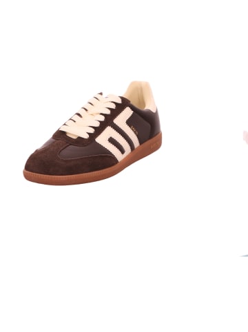 Back 70 Schnürschuh in braun