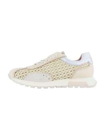 Hispanitas Sportliche Schnürschuhe in Beige
