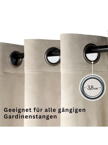 Tom Tailor Ösenvorhang VELVET SIGNATURE in Beige
