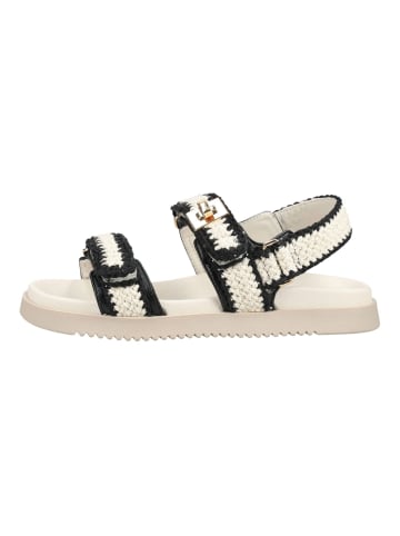 Steve Madden Sandalen in Cream