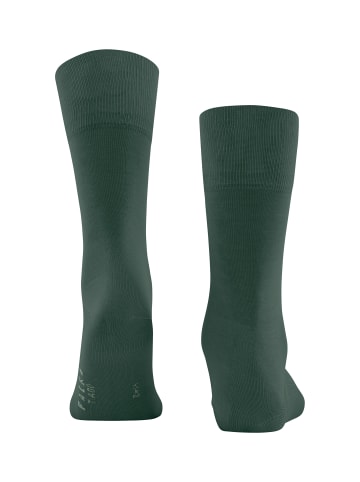 Falke Socken Tiago in Hunter gre