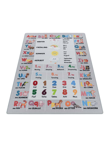 KADIMA DESIGN Teppich Kinder Flachgewebe Tiere-Zahlen-Alphabet Polyamid Kinderzimmer