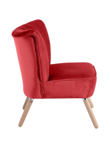 58 aufm Kessel SESSEL Kadisha Bezug Samtvelours Buche natur / rot