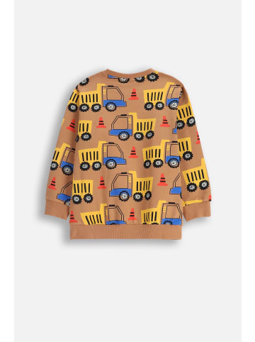 Coccodrillo Sweatshirt in braun