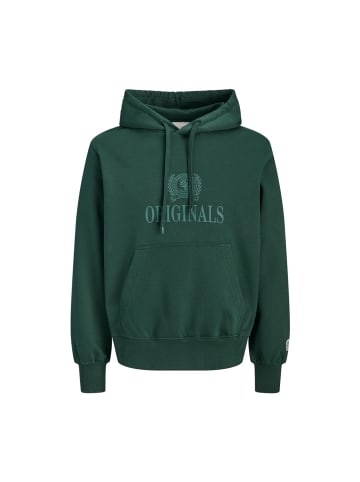 Jack & Jones Sweatshirt in pine grove