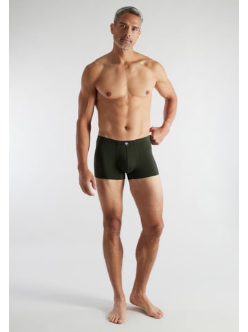 CECEBA Pants 2Er Pack Ohio in grün-dunkel-Ringel