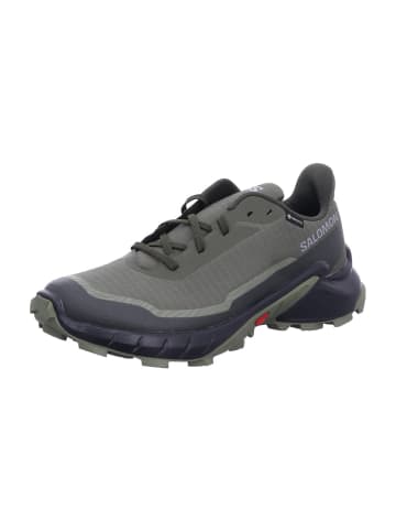 SALOMON Wanderschuhe ALPHACROSS 5 GTX Olvnig in Grün