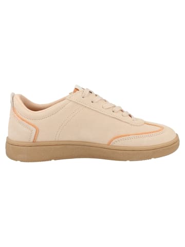 Palladium Sneaker low Pallacup Casual Sde in beige