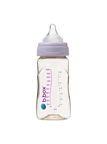 B. Box Babyflasche aus PPSU 240 ml mit Anti-Kolik Sauger aus Silikon ab Geburt in Lila