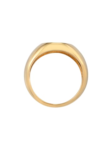 Elli Ring 925 Sterling Silber Schlange, Siegelring in Gold