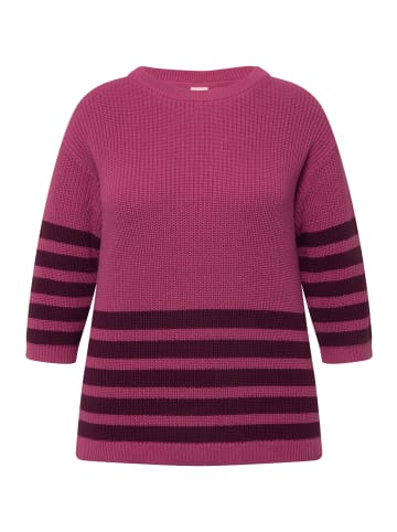 Ulla Popken Pullover in fuchsia