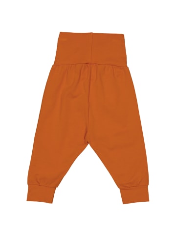 Fred´s World by GREEN COTTON Babyhose 1535108700 in orange