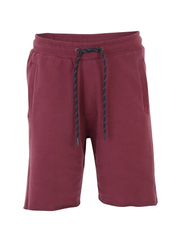 Venice Beach Hose Aiden 4021 BB01 in Bordeaux