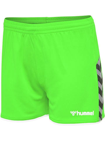 Hummel Hummel Shorts Hmlauthentic Multisport Damen Feuchtigkeitsabsorbierenden Leichte Design in GREEN GECKO