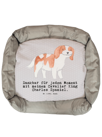 Mr. & Mrs. Panda Hundekorb Cavalier King Charles Spaniel Moment ... in Grau Pastell