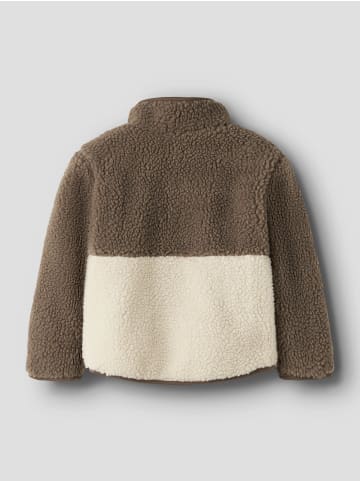 name it Jacke in Turtledove