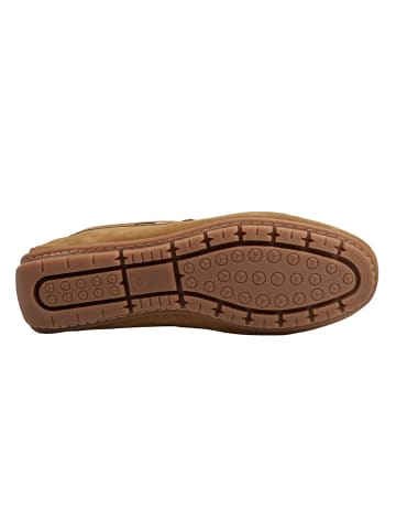 U.S. Polo Assn. Mokassins in Brown