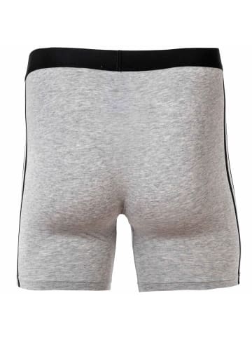 adidas Boxershort 6er Pack in Grau