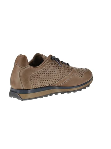 Cetti Sneaker low C-848 INV27 in Braun