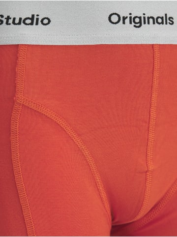 JACK & JONES Junior 3er-Pack Boxershorts in Black