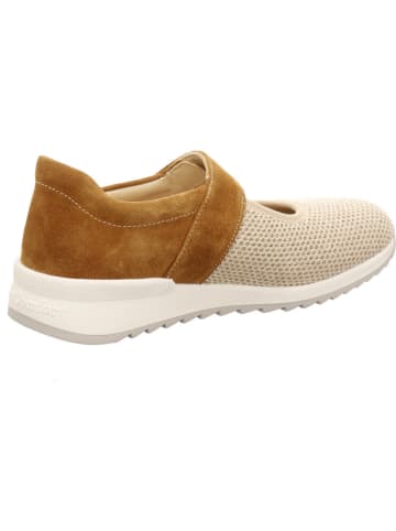 Finn Comfort Ballerina in beige