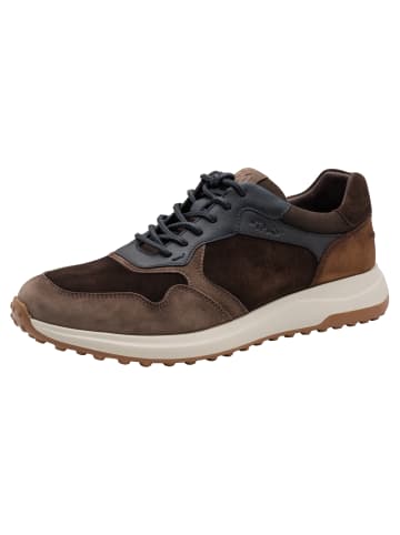 Tamaris Sneaker in BROWN COMB