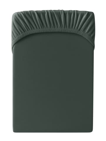 Cats Collection Spannbetttuch Edel-Jersey in anthrazit