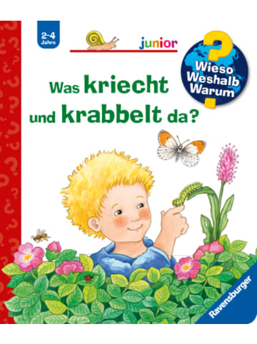Ravensburger Verlag GmbH Buch - Wieso? Weshalb? Warum? junior, Band 36 - Was kriecht und krabbelt da?