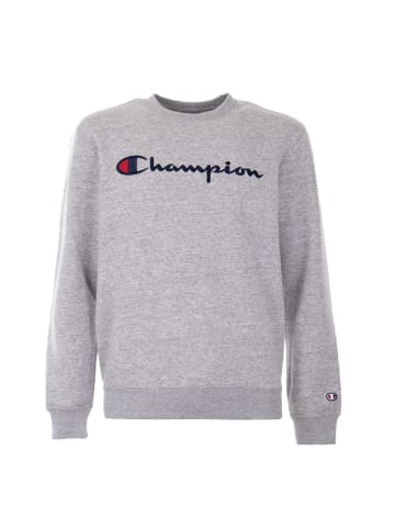 Champion Sweatshirt Hooded Sweatshirt EM021 in Grau