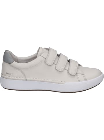 Josef Seibel Sneaker Claire 12 in weiss-kombi