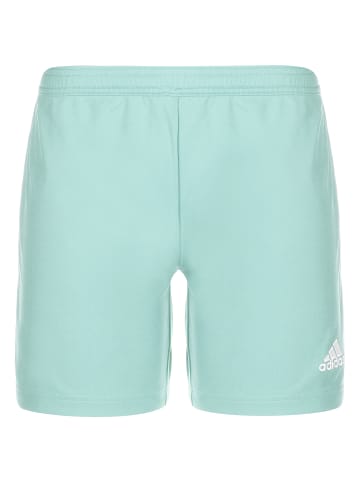 adidas Performance Trainingsshorts Entrada 22 in hellblau / weiß