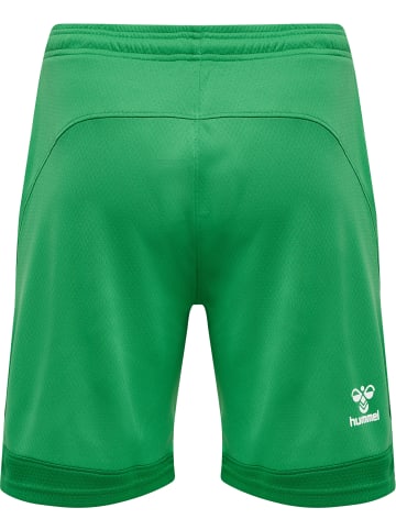 Hummel Hummel Kurze Hose Hmllead Fußball Herren Schnelltrocknend in JELLY BEAN