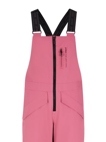 Protest " PRTNAVAZ in Rose Dust