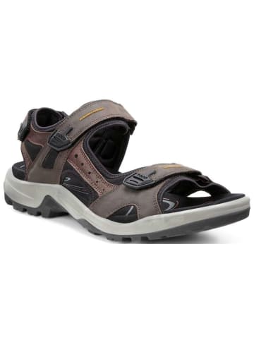 Ecco Klassische Sandalen in Espresso/Cocoa Brown