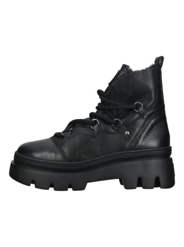 Paul Green Stiefelette in Schwarz